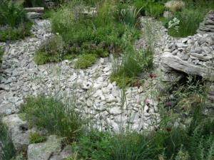 Pepa poroča iz Londona Dobila sem pozlačeno srebro7